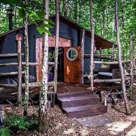 Sturry Cosy Woodland Romantic Retreat With Log Fires And Nature מראה חיצוני תמונה