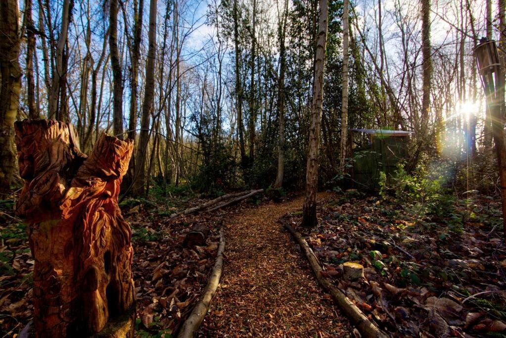 Sturry Cosy Woodland Romantic Retreat With Log Fires And Nature מראה חיצוני תמונה