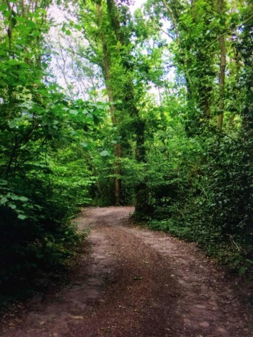 Sturry Cosy Woodland Romantic Retreat With Log Fires And Nature מראה חיצוני תמונה