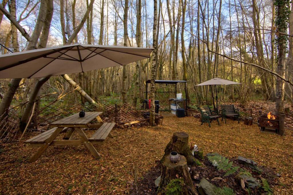 Sturry Cosy Woodland Romantic Retreat With Log Fires And Nature מראה חיצוני תמונה