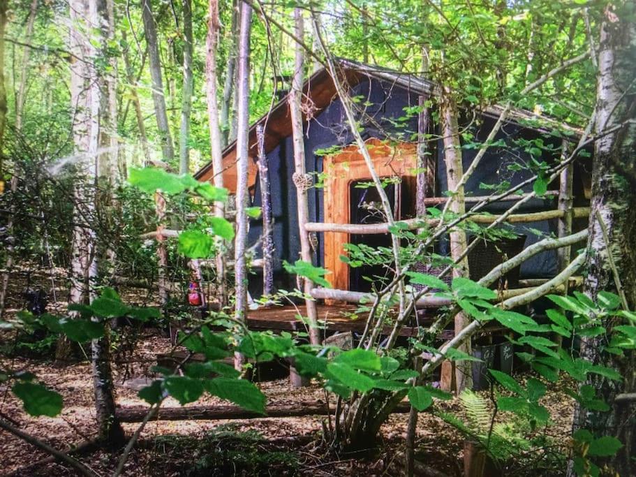 Sturry Cosy Woodland Romantic Retreat With Log Fires And Nature מראה חיצוני תמונה