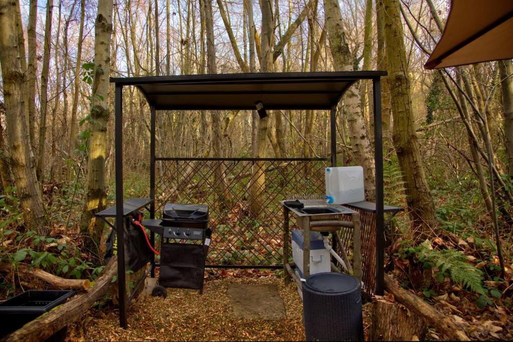 Sturry Cosy Woodland Romantic Retreat With Log Fires And Nature מראה חיצוני תמונה