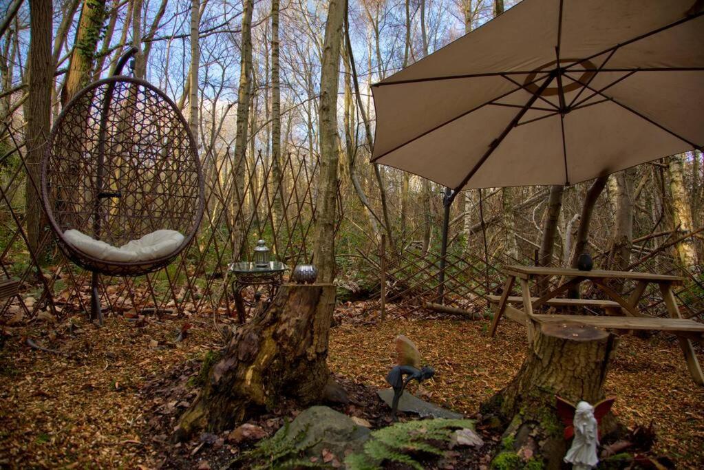 Sturry Cosy Woodland Romantic Retreat With Log Fires And Nature מראה חיצוני תמונה