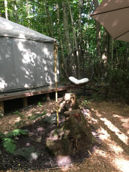 Sturry Cosy Woodland Romantic Retreat With Log Fires And Nature מראה חיצוני תמונה