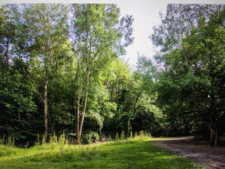 Sturry Cosy Woodland Romantic Retreat With Log Fires And Nature מראה חיצוני תמונה