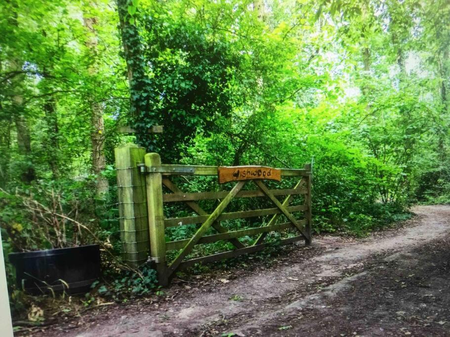 Sturry Cosy Woodland Romantic Retreat With Log Fires And Nature מראה חיצוני תמונה