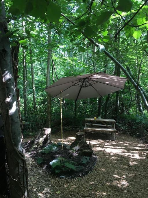 Sturry Cosy Woodland Romantic Retreat With Log Fires And Nature מראה חיצוני תמונה