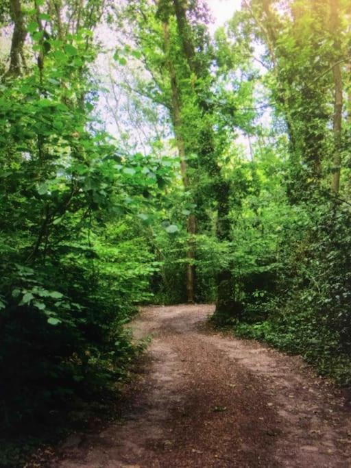 Sturry Cosy Woodland Romantic Retreat With Log Fires And Nature מראה חיצוני תמונה