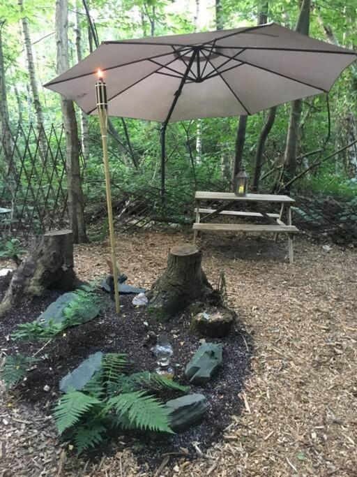 Sturry Cosy Woodland Romantic Retreat With Log Fires And Nature מראה חיצוני תמונה
