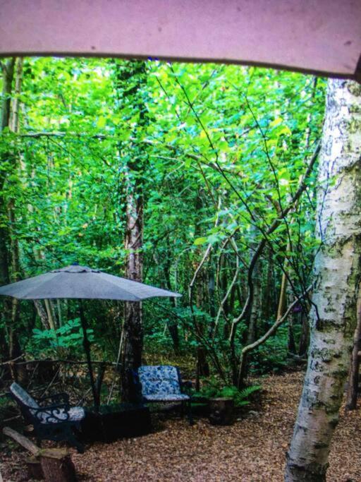 Sturry Cosy Woodland Romantic Retreat With Log Fires And Nature מראה חיצוני תמונה