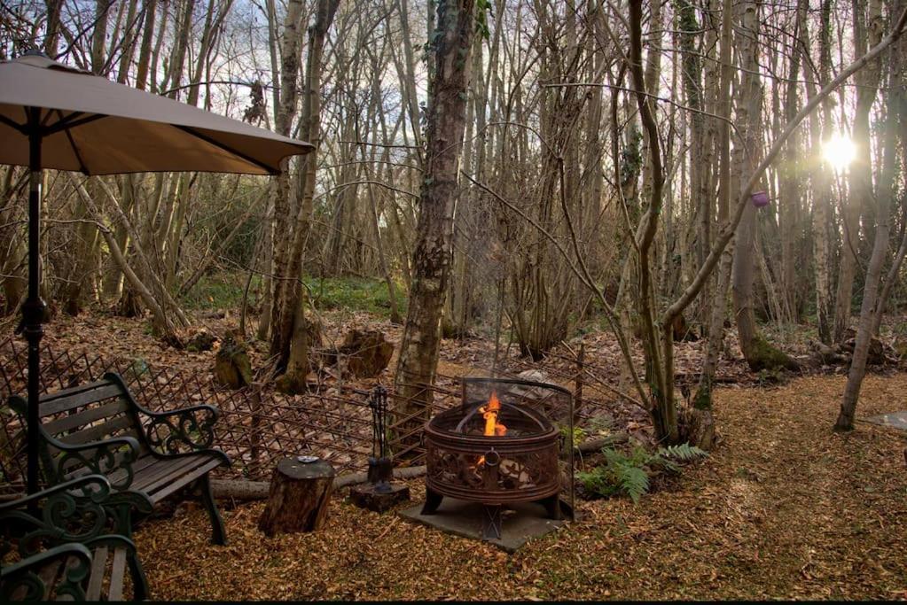 Sturry Cosy Woodland Romantic Retreat With Log Fires And Nature מראה חיצוני תמונה
