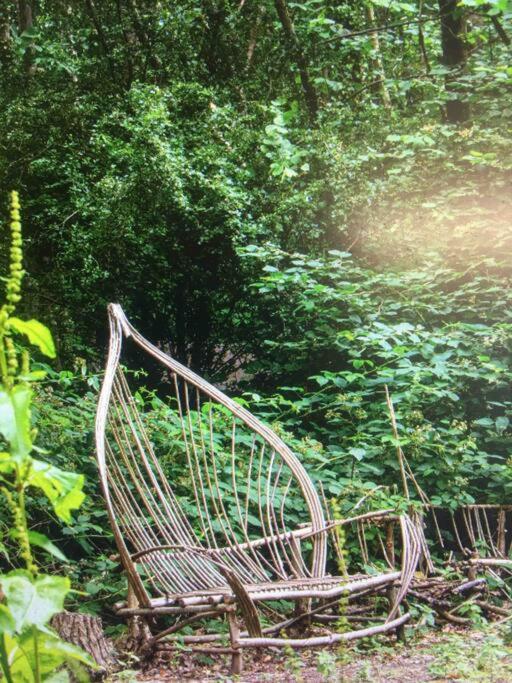 Sturry Cosy Woodland Romantic Retreat With Log Fires And Nature מראה חיצוני תמונה